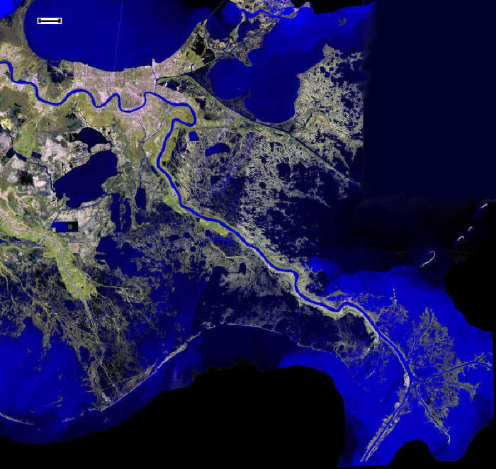 New Orleans Fishing, Louisiana Fishing Charters, Jean Lafitte Fishing